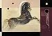 Conquistador by Joadoor Fine Art Print / Poster 31.50 x 23.50 in.