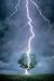 Lightning Bolt (Lightning Striking Tree) Art Poster Print - 24