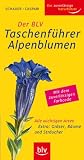 Produkt-Bild: Der BLV Taschenf&uuml;hrer Alpenblumen: Alle wichtigen Arten: Extra: Gr&auml;ser, B&auml;ume und Str&auml;ucher