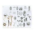 Protozoa and Coelenterata Art Giclee Poster Print by English School, 24x18
