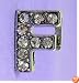 F Letter 10mm Slide Charm for Personalized Bling Dog Collar