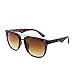 Laurels Uv Protected Brown Wayfarer Unisex Sunglasses -(Sup-0202T|Brown Lens) RS.299.00