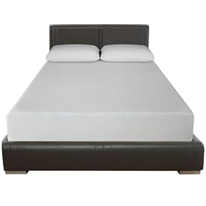 Sleep Master 10-Inch Pressure Relief Memory Foam Mattress, Queen