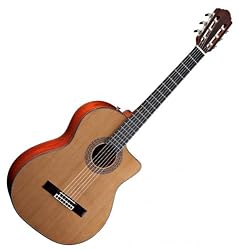 Guild Guitars 381-0905-821 GAD-5N Acoustic Design Guitar