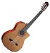 Guild Guitars 381-0905-821 GAD-5N Acoustic Design Guitar