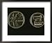 Indigenous Animals are Featured on South Africas Rand Coins Education Framed Art Poster Print by Tino Soriano, 22x18