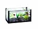 American Educational 40111 Aquarium with Acrylic Cover, 10 Gallon Capacity, Glass