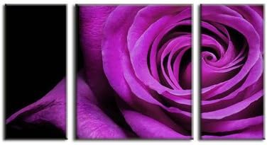 Purple rose flower print on canvas, framed and ready to hang, modern home and office interior decor, flower canvas designs, 3 panel rose print, wall art