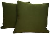 American Mills Airbrush 16 by 16 Pillow, Laurel, Set of 2