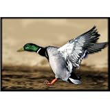 Upstream Images Duck Static Wall Graphic