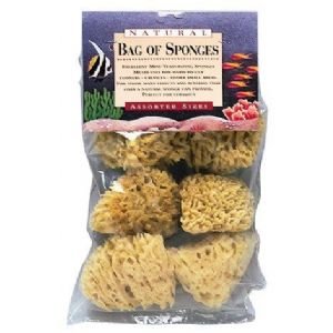 SPONGES NATURAL SEA 6/PK ASSTD Drafting, Engineering, Art (General Catalog)