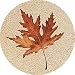 Kitchen & Housewares : Set of Four Maple Leaf Thirstystone Coasters - Style TS1002