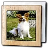 Papillon - 6 Inch Tile Napkin Holder