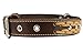 Genuine Leather Braided Studded Dog Collar, Brown 1.5
