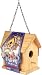 Toysmith Paint-A-Birdhouse