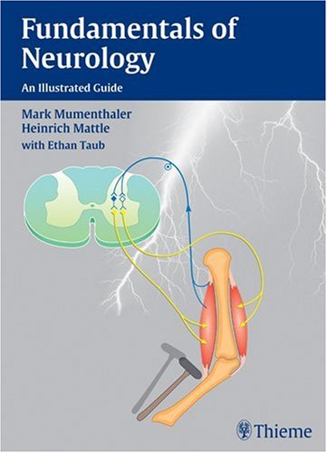 Fundamentals of Neurology