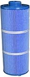 Filbur FC-0196M Antimicrobial Replacement Filter Cartridge for Marquis New Microban Pool and Spa Filter