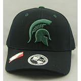 Michigan State Spartans Adult One-Fit Hat