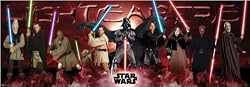 Star Wars: Episode I - III - Door Movie Poster (Jedi Vs. Sith / Lightsabers) (Size: 62" x 21")