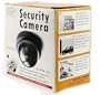 Fake Dome Security Camera
