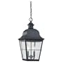 Sea Gull Lighting 6062-46 Two-Light Colonial Outdoor Pendant, Clear Seeded Glass, Oxidized Bronze