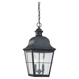 Sea Gull Lighting 6062-46 Two-Light Colonial Outdoor Pendant, Clear Seeded Glass, Oxidized... by Sea Gull Lighting