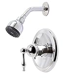 Premier Faucet 119276 Premier Wellington Single-Handle Shower Faucet, Chrome [並行輸入品]