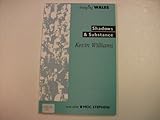 Shadows and substance : the development of a media policy for Wales