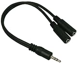 41Xw24EkfvL. SL160  Audio Klinke Y Kabel / Verteiler 3,5mm Klinken Stecker Stereo an 2 x 3,5 mm Klinken Buchse Stereo Kupplung Adapter mit ca 20cm 0.2m