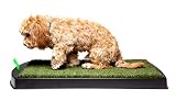 PetLawn Original Waste Management System, 20 by 30-Inch