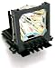 New DT00601 Projector Replacement Lamp Bulb with Housing CPX1230 CPX1250 CPSX1350 CP-X1350