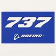 737 Blue Sticker