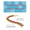 Best of Beading & Chainmail