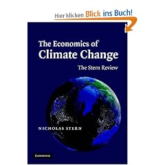 The Economics of Climate Change: The Stern Review