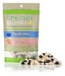 Little Duck Organics Blueberry Apple Freeze Dried Fruit, 1-Ounce Pouches (Pack of 12)
