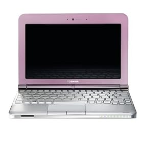Toshiba NB200-11N Mini Laptop (10.1 inch screen, 1GB RAM, 160GB HDD, Intel Atom Processor N280, 9 Hour Battery Life)