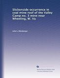 Slickenside occurrence in coal mine roof of the Valley Camp no. 3 mine near Wheeling, W. Va