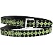 Fall Out Boy - Belts - Band