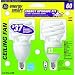 GE Lighting 75368 FLE13HT2/2CAND/2PK CFL Bulb