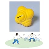 �ȡ������饤�ȡ����쥮��顼�ܡ��롡�¡ݣ�������