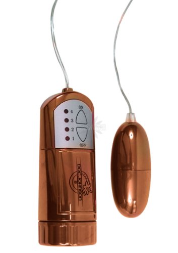 Chocolate Metallic Egg and Controller