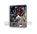 Ryan Giggs signed Manchester United canvas