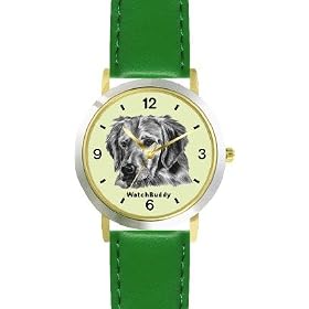 Golden Retriever (SC) Dog - WATCHBUDDY® DESIGNER DELUXE TWO-TONE THEME WATCH - Arabic... by WatchBuddy