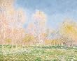 Claude Monet (Spring in Giverny) Art Poster Print - 16" X 20"