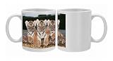 Siberian / Amur TIGER cubs - x three in a row Photo Mugs