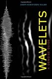 Wavelets: A Concise Guide