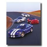 Dodge Viper Cars Racing On Track Automobile Home Wall Picture 16x20 Art Print