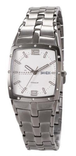 Skagen Women's 396STX Titanium Link Watch