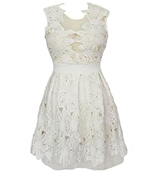Petite V-neck Sheer Lace Mesh Cutout Floral Print Polyester/Spandex Sleeveless Fit-and-Flare Skater Dress/Mini Dress 