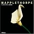 Mapplethorpe Flowers 2008 Calendar